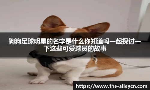 狗狗足球明星的名字是什么你知道吗一起探讨一下这些可爱球员的故事